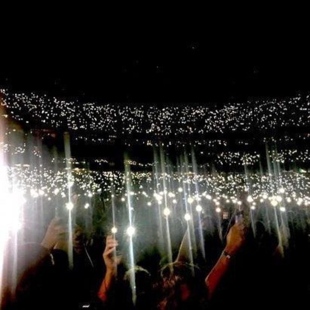 The Home Shows - Seattle | Pearl Jam